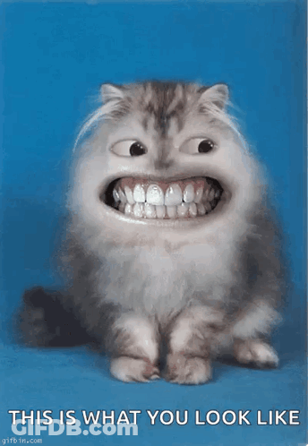 Cat With Big Teeth Saying This Is What You Look Like GIF