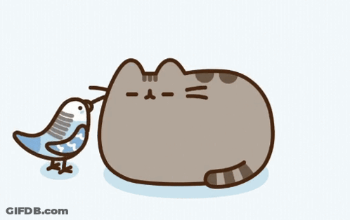 Cat With Bird On Nose GIF