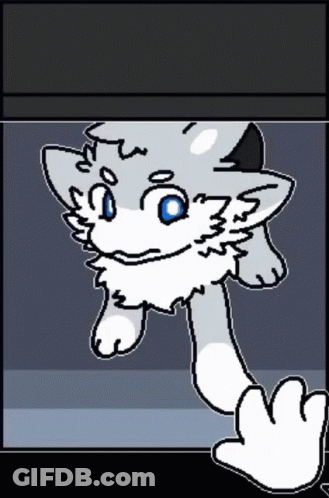 Cat With Blue Eyes GIF