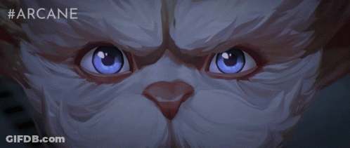 Cat With Blue Eyes Saying Arcane GIF