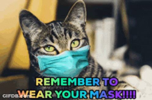 Cat With Blue Mask Saying Remember To Wear Your Mask GIF