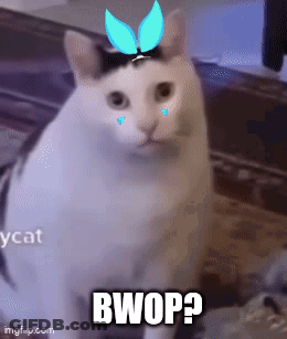 Cat With Bow And Bwop GIF