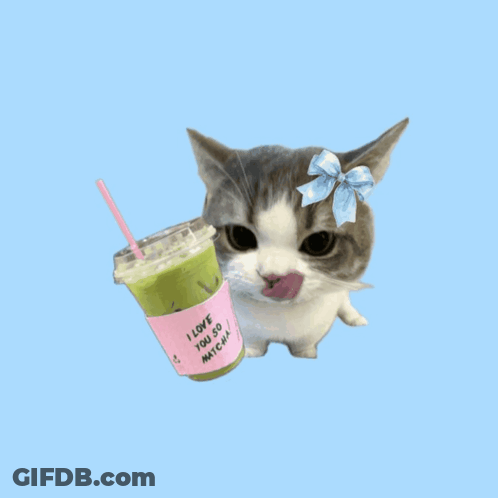 Cat With Bow Holding I Love You So Matcha Cup GIF