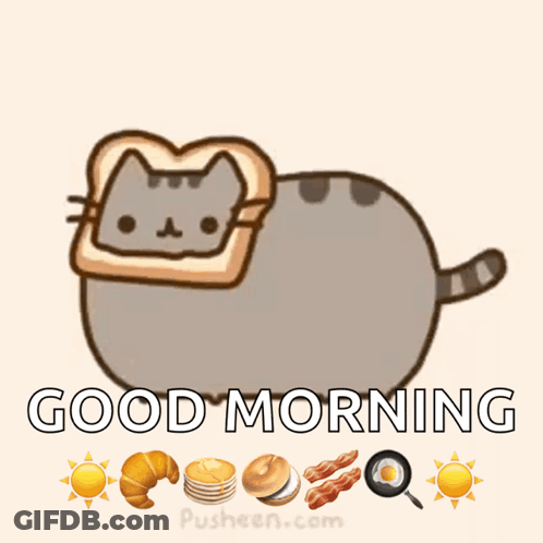 Cat With Bread On Head Good Morning GIF