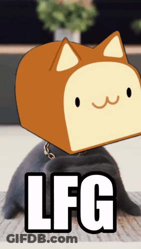 Cat With Bread On Head LFG GIF
