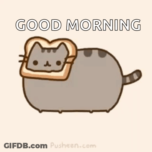 Cat With Bread On Head GIF