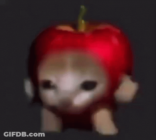 Cat With Broken Heart Chota Sa Dil Hai Mt Dukhaya Karo GIF