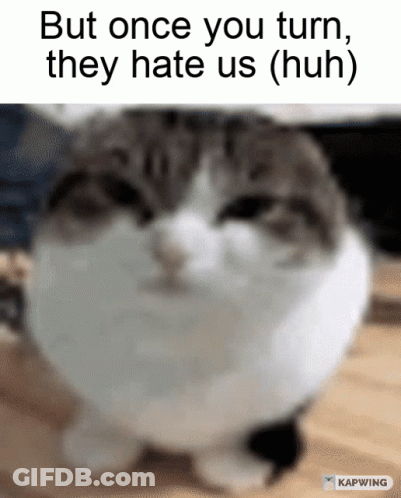 Cat With But Once You Turn They Hate Us Caption GIF