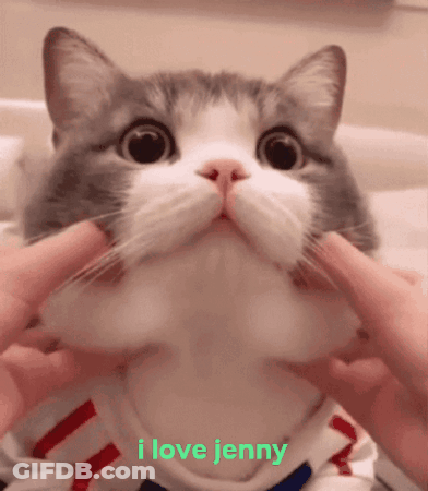 Cat With Butterfly On Head Teacup You're Cute GIF
