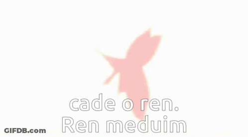 Cat With Cade O Ren Ren Meduim Text GIF