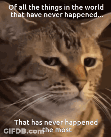 Cat With Caption Of All Things That Never Happened GIF