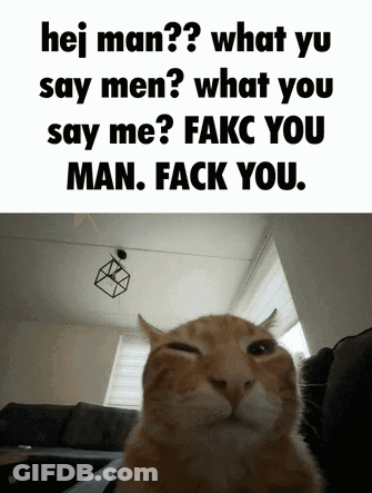 Cat With Caption Saying F**k You GIF