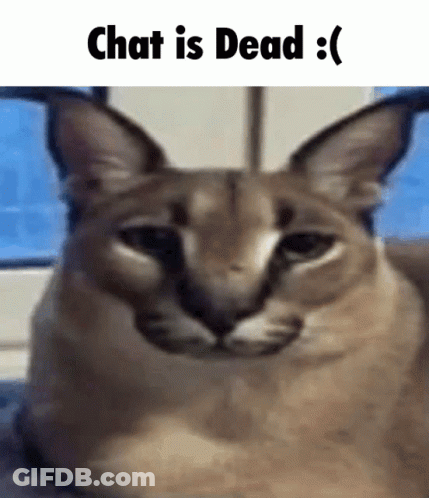 Cat With Chat Is Dead GIF
