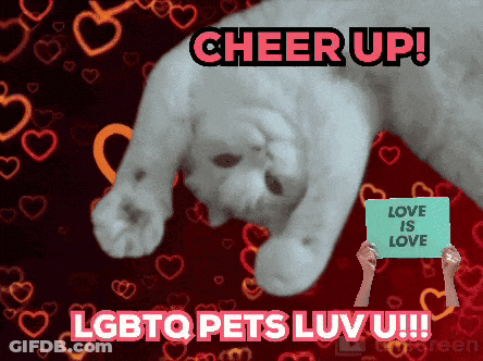 Cat With Cheer Up LGBTQ Pets Luv U GIF