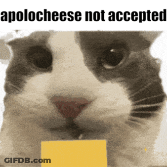 Cat With Cheese Saying Apologese Not Accepted GIF