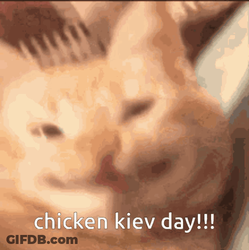 Cat With Chicken Kiev Day Text GIF