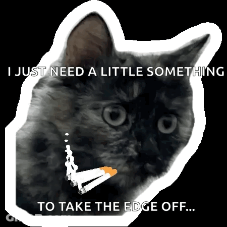 Cat With Cigarette Saying I Just Need A Little Something GIF