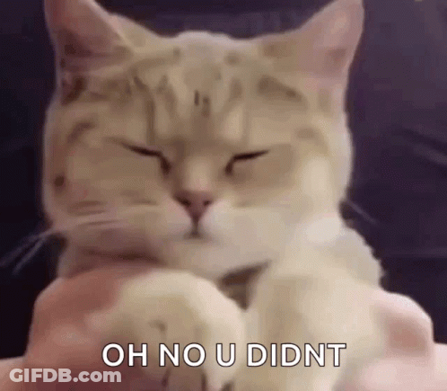 Cat With Closed Eyes Being Petted On Lap GIF