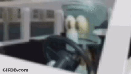Cat With Closed Eyes Saying I Love You GIF