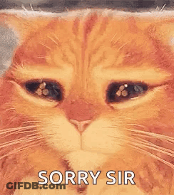 Cat With Closed Eyes Saying Sorry Sir GIF