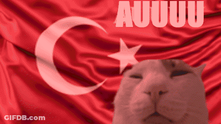 Cat With Crescent Moon And Star In Front Of Red Flag Saying Auuuu GIF
