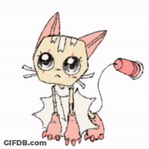 Cat With Cup In Its Mouth GIF