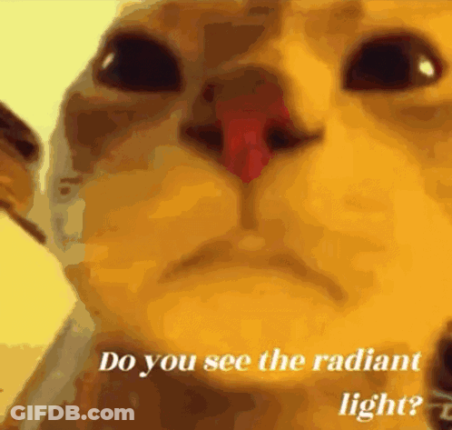 Cat With Do You See The Radiant Light GIF