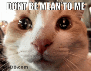 Cat With Dont Be Mean To Me GIF