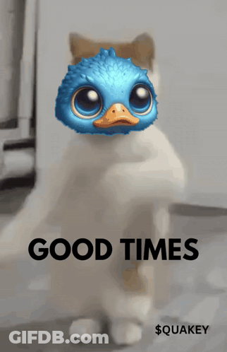 Cat With Duck On Head Saying Good Times GIF