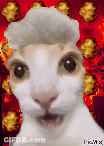 Cat With Explosions And Picmix GIF