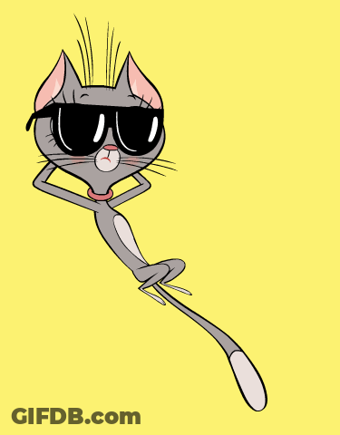 Cat With Explosions And Picmix GIF