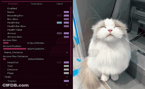 Cat With Eyes Closed Next To Computer Saying Enemies GIF