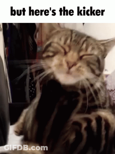 Cat With Eyes Closed Saying But Heres The Kicker GIF