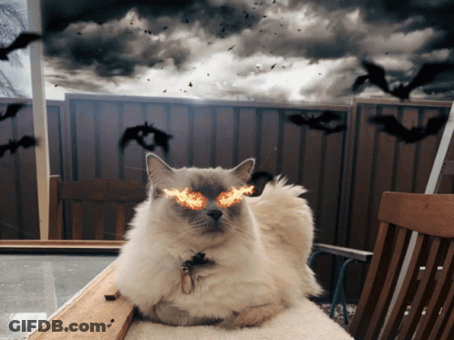 Cat With Flaming Eyes On Chair GIF