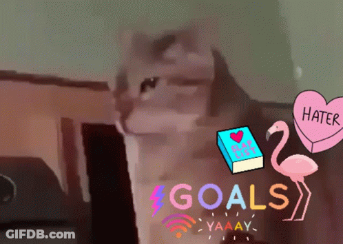 Cat With Flamingo Book And Hater Heart GIF
