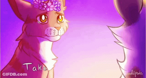 Cat With Flower Crown Saying Take GIF