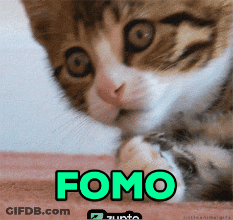 Cat With Fomo GIF