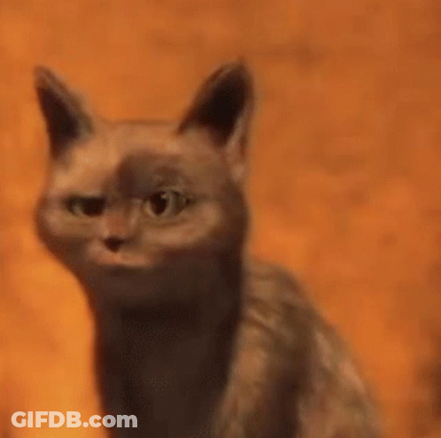 Cat With Food In Mouth Looking At Camera GIF