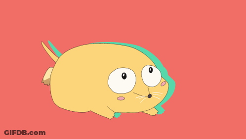 Cat With Foot In Mouth GIF