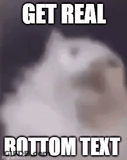 Cat With Get Real Bottom Text GIF