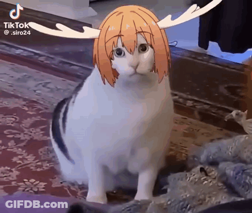 Cat With Girl Head And Antlers GIF