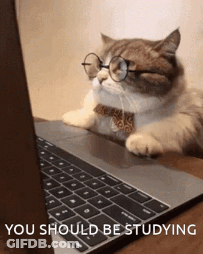 Cat With Glasses And Bow Tie Laying At Laptop GIF