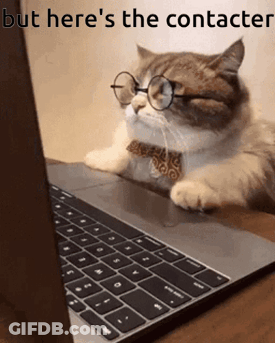 Cat With Glasses And Tie On Laptop Saying But Here's The Contacter GIF