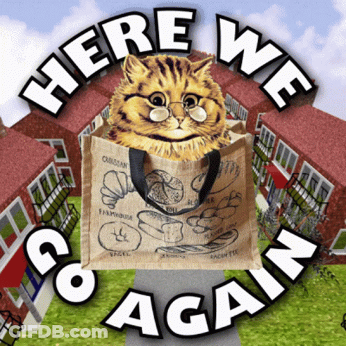 Cat With Glasses In Bag Here We Go Again GIF