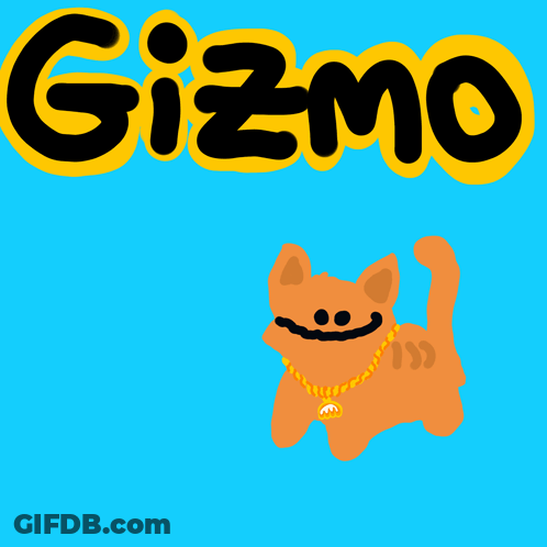 Cat With Gold Chain Saying Gizmo GIF