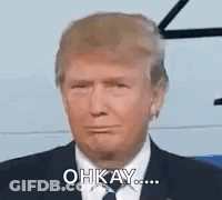 Cat With Gold Coin Saying SMCrt GIF
