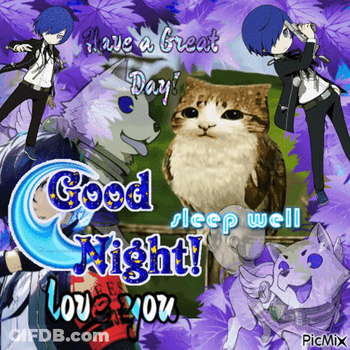 Cat With Good Sleep Have Great Day Love You GIF