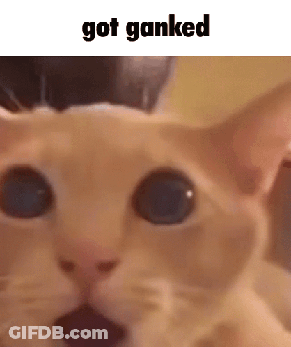 Cat With Got Ganked Text GIF
