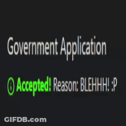 Cat With Government Application Accepted In Green GIF
