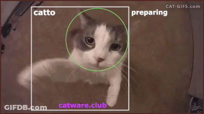 Cat With Green Circle And Catware.club Below GIF